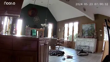 2024-05-23-07-00-06-704.webp