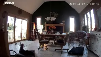 2024-11-07-07-39-48-202.webp