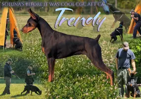 Trendy 18 months.webp