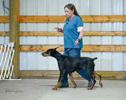 Olive and me trotting.webp