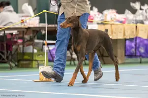 20250504-1P0A0106 (1).webp