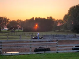 20250714_201146.webp