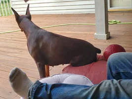 20250726_192731.webp