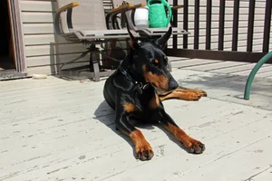 Relaxing on deck Aug 20 25.webp