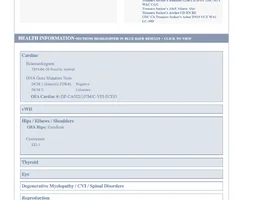 Screenshot 2025-08-28 at 9.40.10 AM.webp