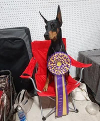 Sitting in chair with ribbon Aug 5 25.webp