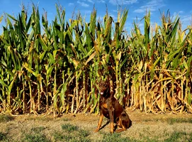20250912_084736.webp