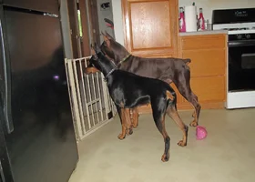 Both standing by gate Sept 21 25.webp