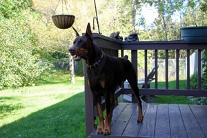 Standing on steps Sept 24 25.webp