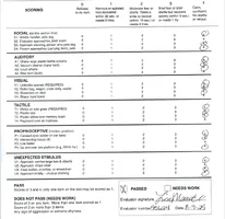 ATT score sheet August 2025.webp