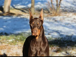 1 Jan Head shot from front full Dec 19 23.webp