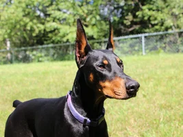 4 Apr Head shot full Sept 1 24.webp