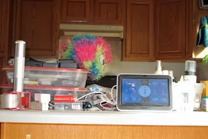 Ball on counter Oct 23 25.webp