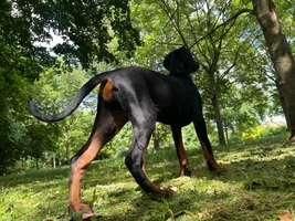 WhatsApp Image 2025-06-01 at 17.24.10_4db35165.webp