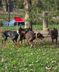 20251025_164939.webp