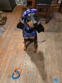 20251028_171553.webp