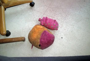 Favorite toys by my feet Oct 27 25.webp