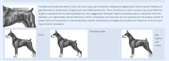 Screenshot 2025-11-01 at 10.29.40 AM.webp