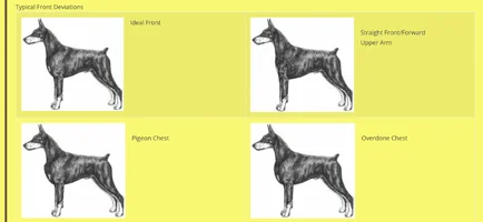 Screenshot 2025-11-01 at 10.30.22 AM.webp