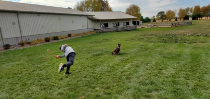 20251104_123106.webp