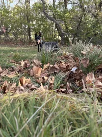 IMG_1263.webp IMG_1263.webp