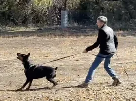 Screenshot 2025-12-31 at 7.31.13 AM.webp