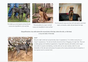 Screenshot 2026-01-21 at 5.09.21 AM.webp