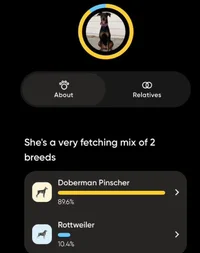 Screenshot 2026-02-17 at 10.52.32 AM.webp