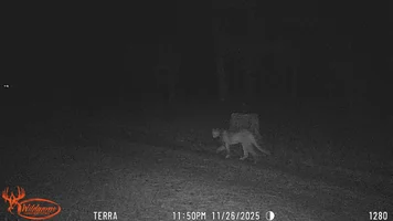 WGI_1280.webp