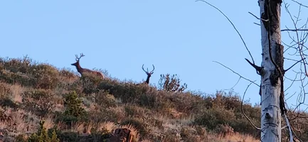 20240807_061428.webp