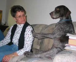 Otis pushing Prue Xmas 2002.webp