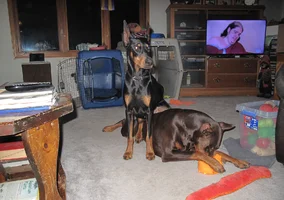 Both by TV Olive on top Mar 22 26.webp