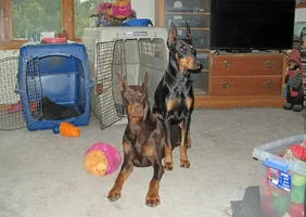 Both alert by crates Olive on top Apr 14 26.webp