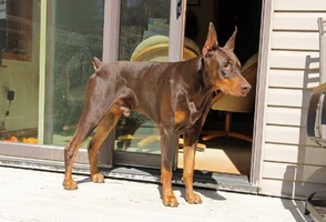 First time on deck for year Apr 16 26.webp