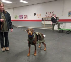 WP front angle Apr 25 26.webp