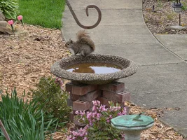 20260505_153135.webp