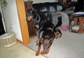 Both in doorway Olive on top May 1 26.webp