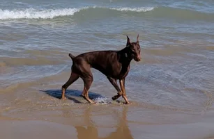 1778249541769.webp