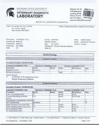 Scan05092026052112_001.webp