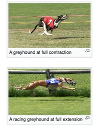 Screenshot 2026-05-09 at 5.40.54 PM.webp