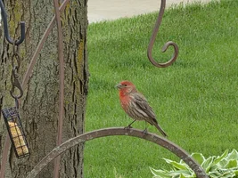 20260506_100144.webp