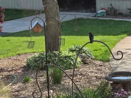 20260504_170740.webp