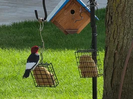 20260429_170734.webp