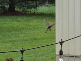 20260424_124320.webp