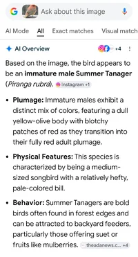 Screenshot_20260517_145825_Google.webp