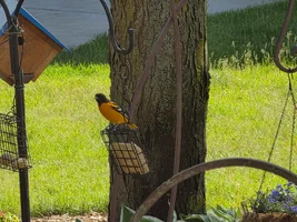 20260520_165421.webp