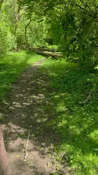 20260521_143435(1).webp