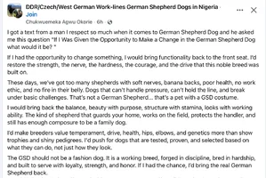 GSD quote.webp