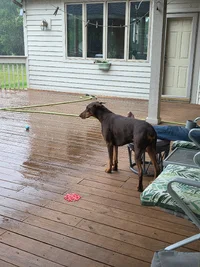 20260524_075554.webp