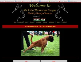 Boxers.webp